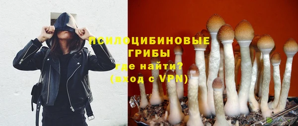 крисы Горняк