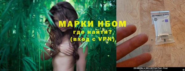крисы Горняк
