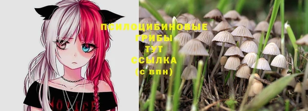 крисы Горняк