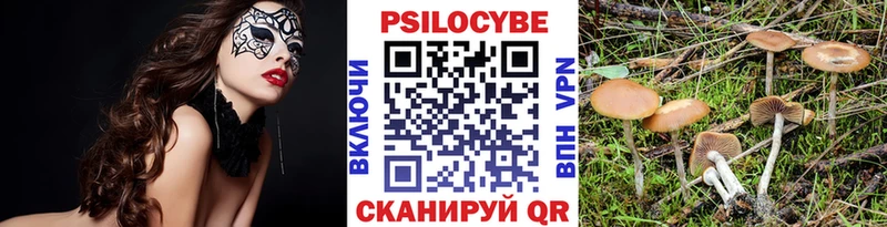 Псилоцибиновые грибы Magic Shrooms kraken сайт Первомайск
